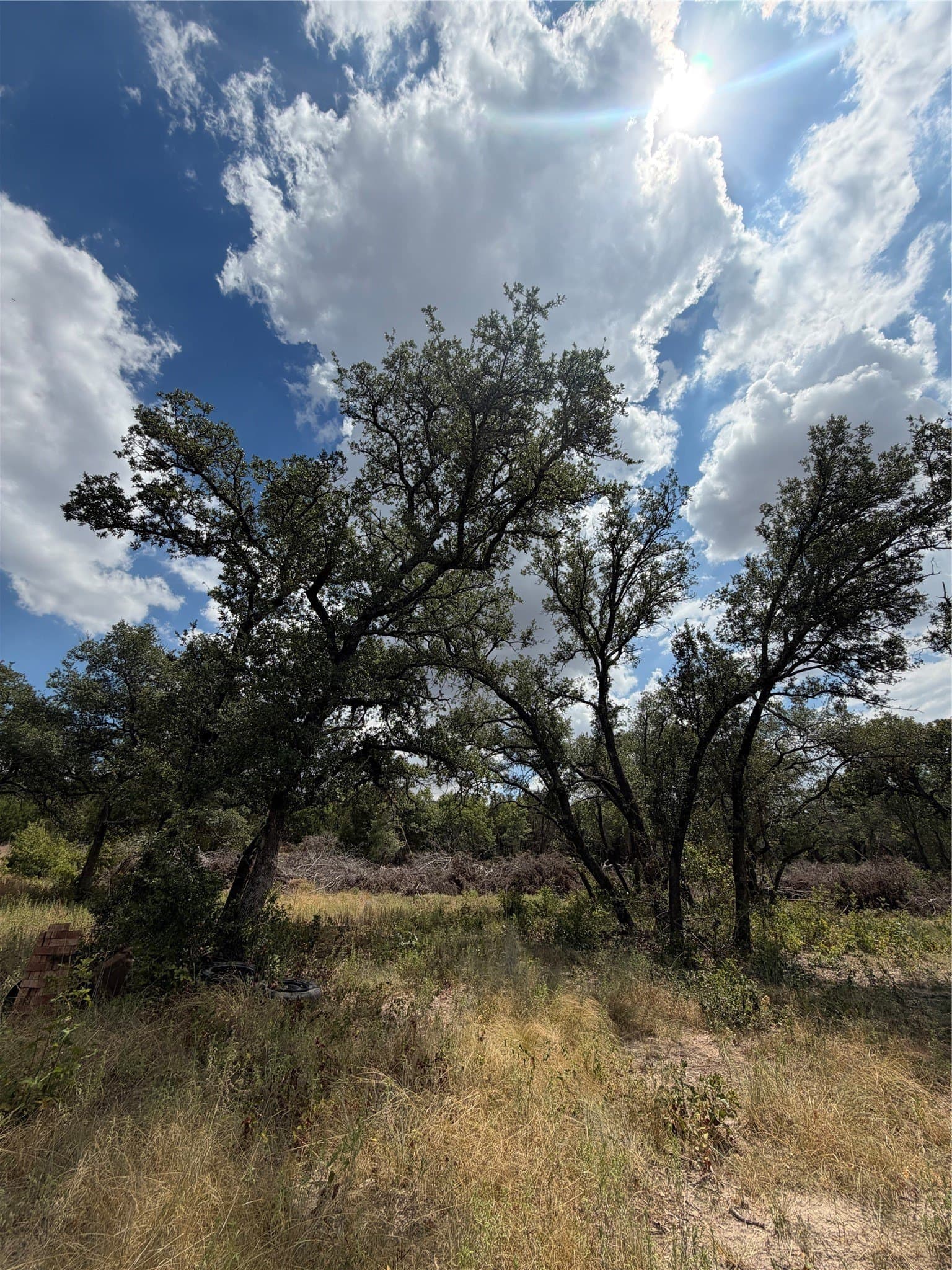 16.26 acres in Eastland County - photo 8