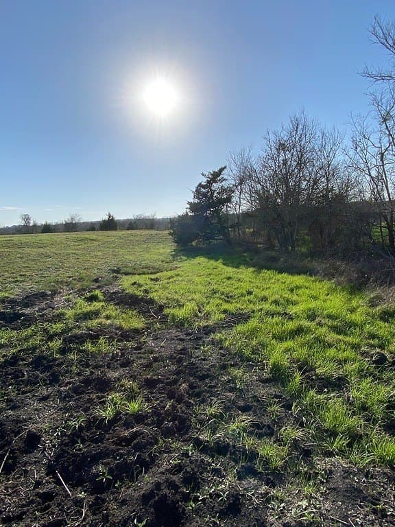 6 acres in Fayette County gallery image 4