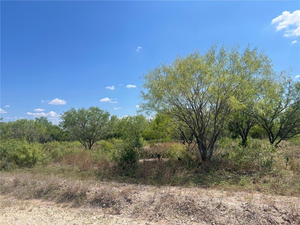1.08 acres in Live Oak County