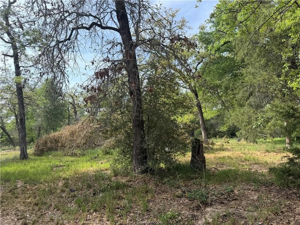2.14 acres in Burleson County gallery image 4