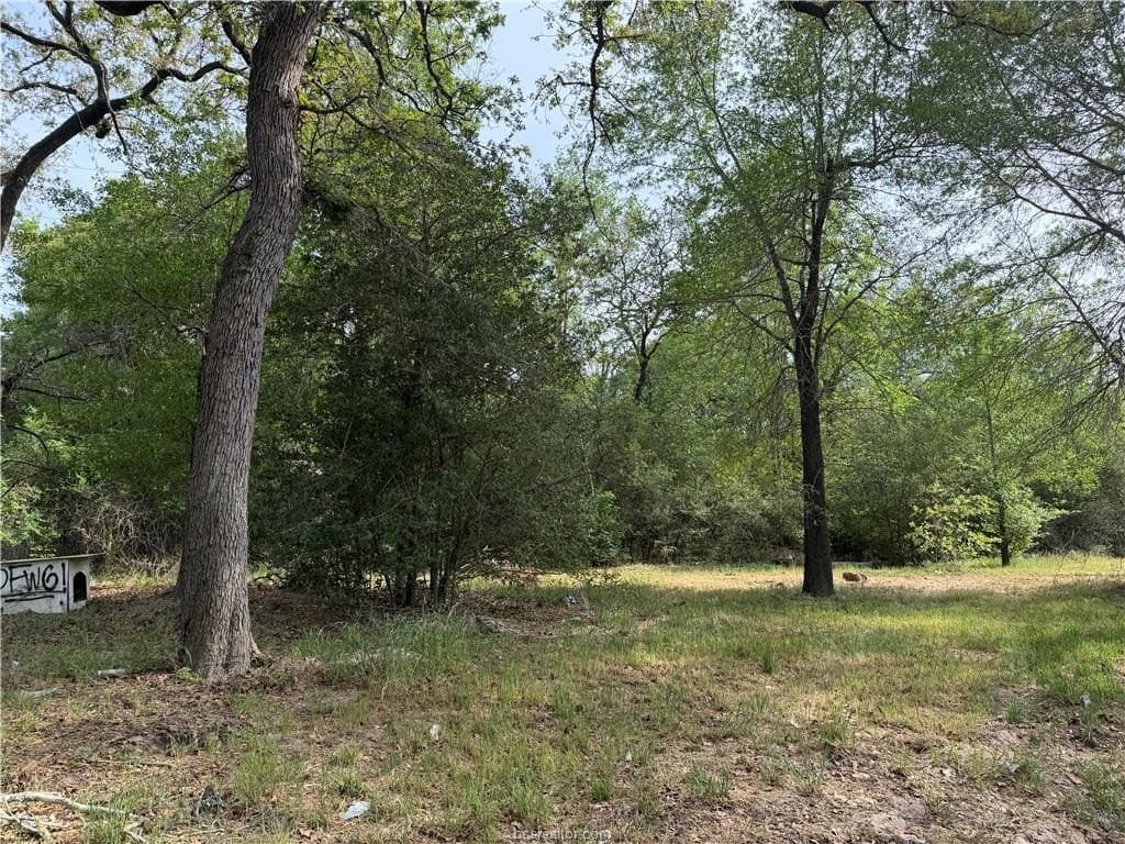 2.14 acres in Burleson County gallery image 3