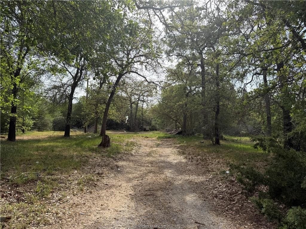 2.14 acres in Burleson County gallery image 2