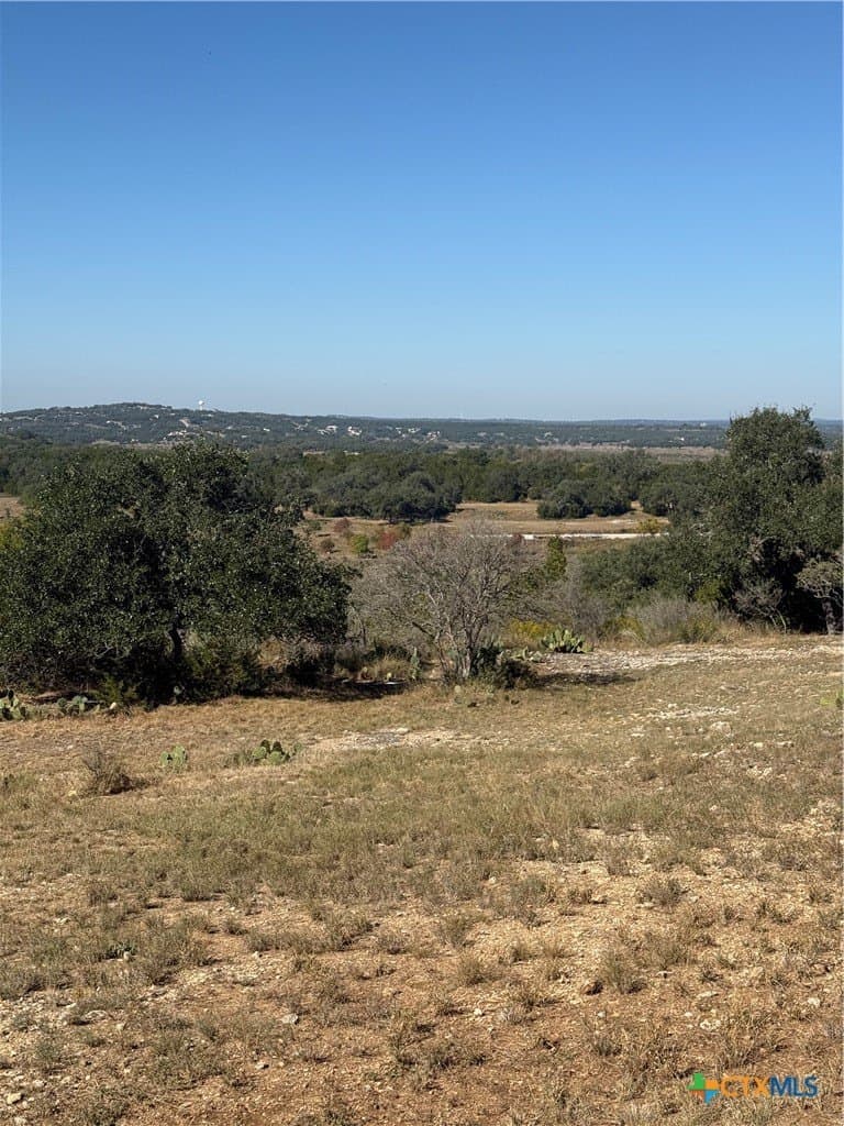 1.31 acres in Comal County gallery image 2