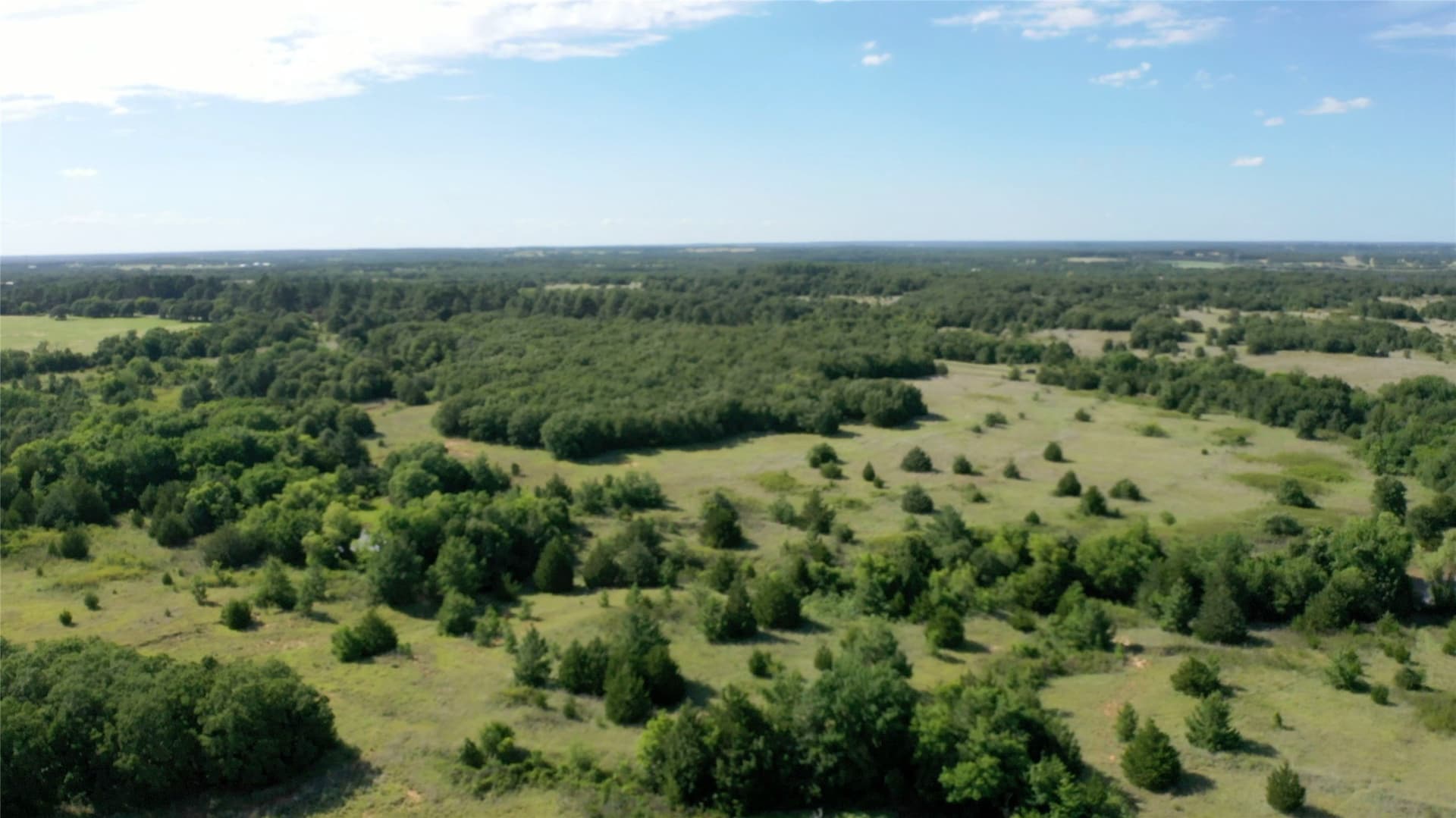 132 acres in Wise County featured view