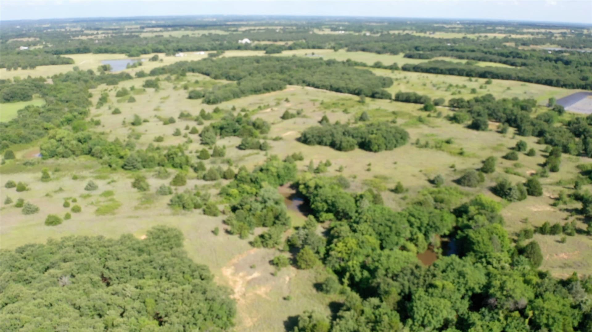 132 acres in Wise County gallery image 3