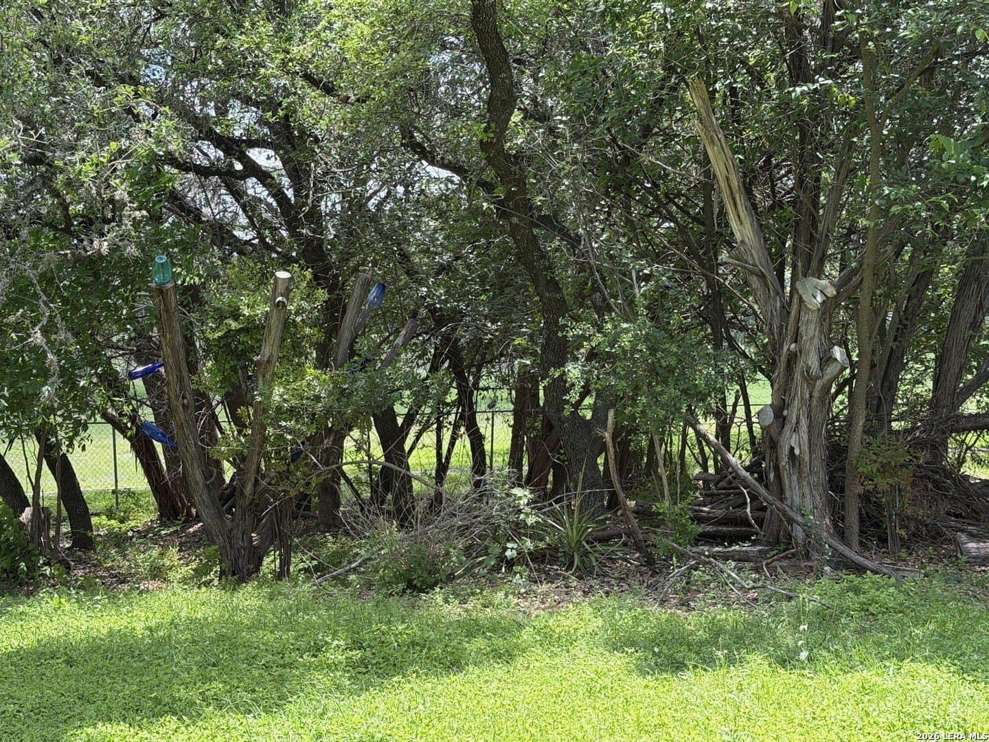 0.28 acres in Comal County gallery image 3