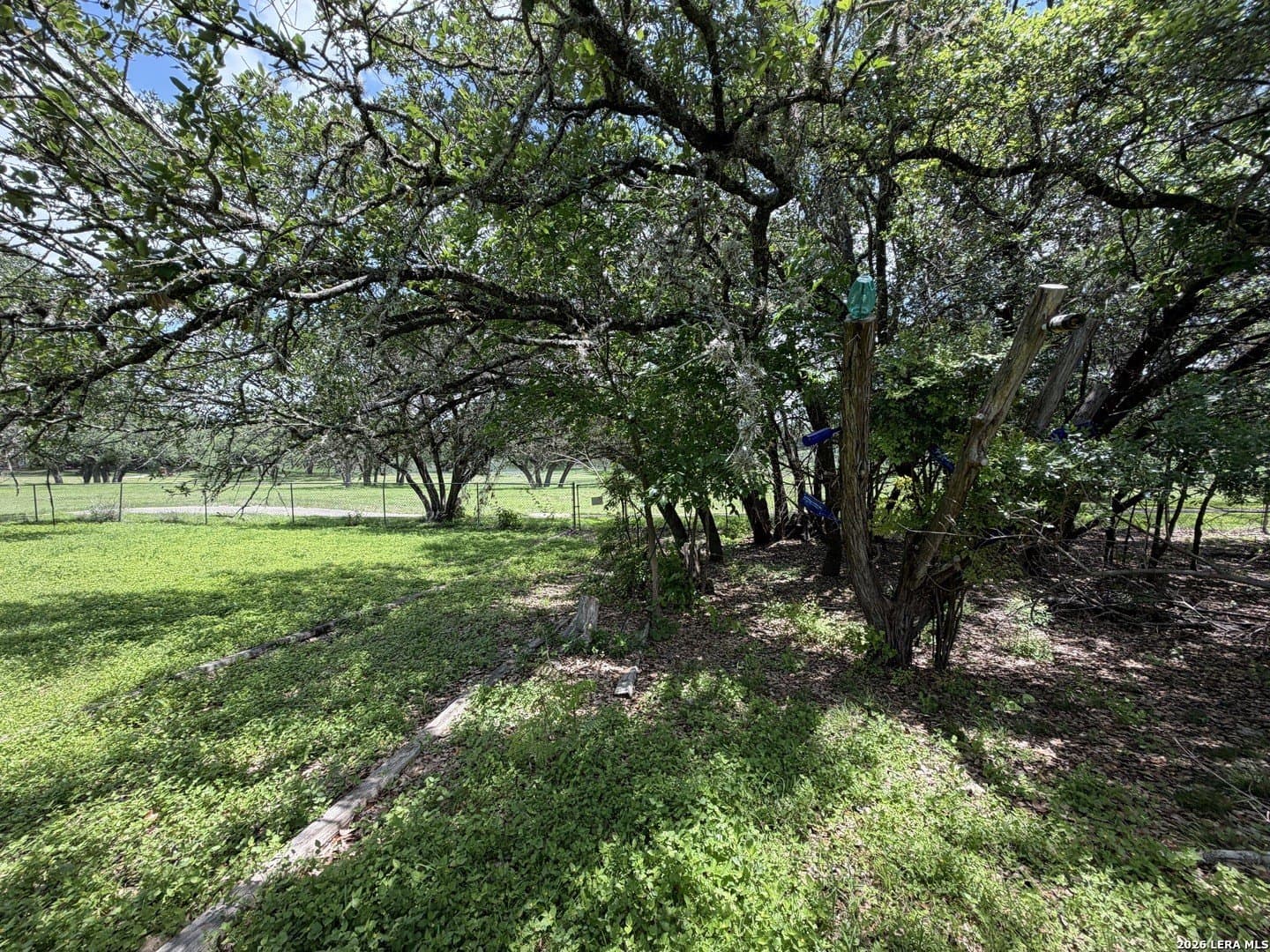 0.28 acres in Comal County - photo 14