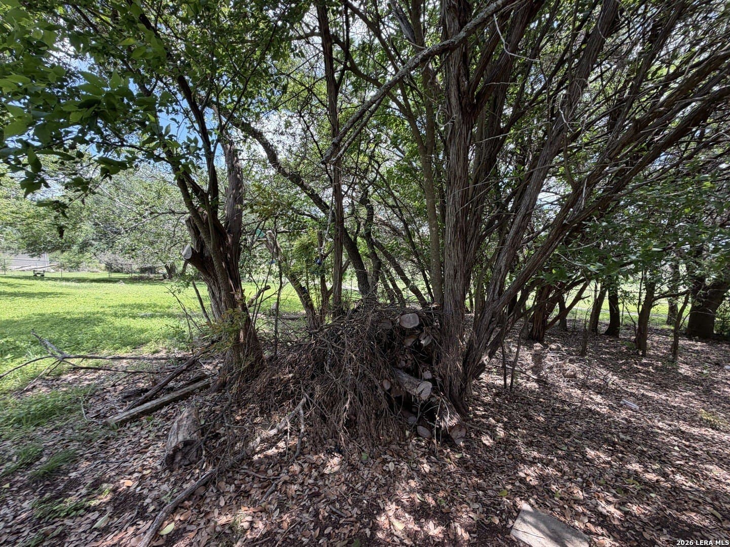 0.28 acres in Comal County - photo 16