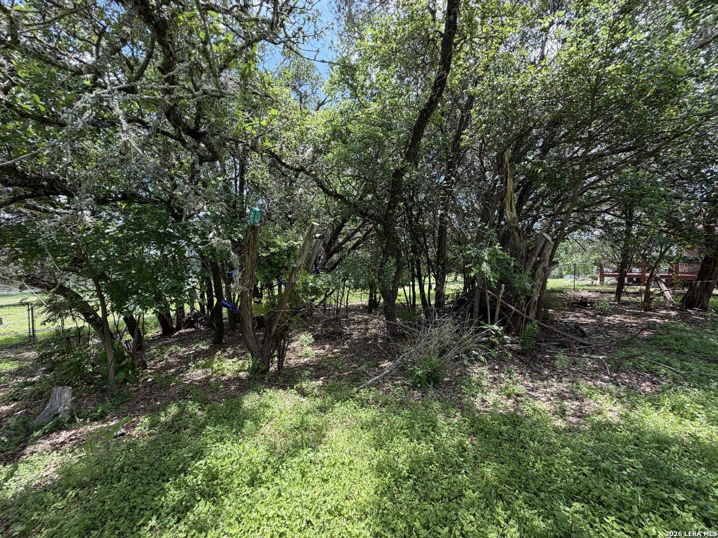 0.28 acres in Comal County - photo 13