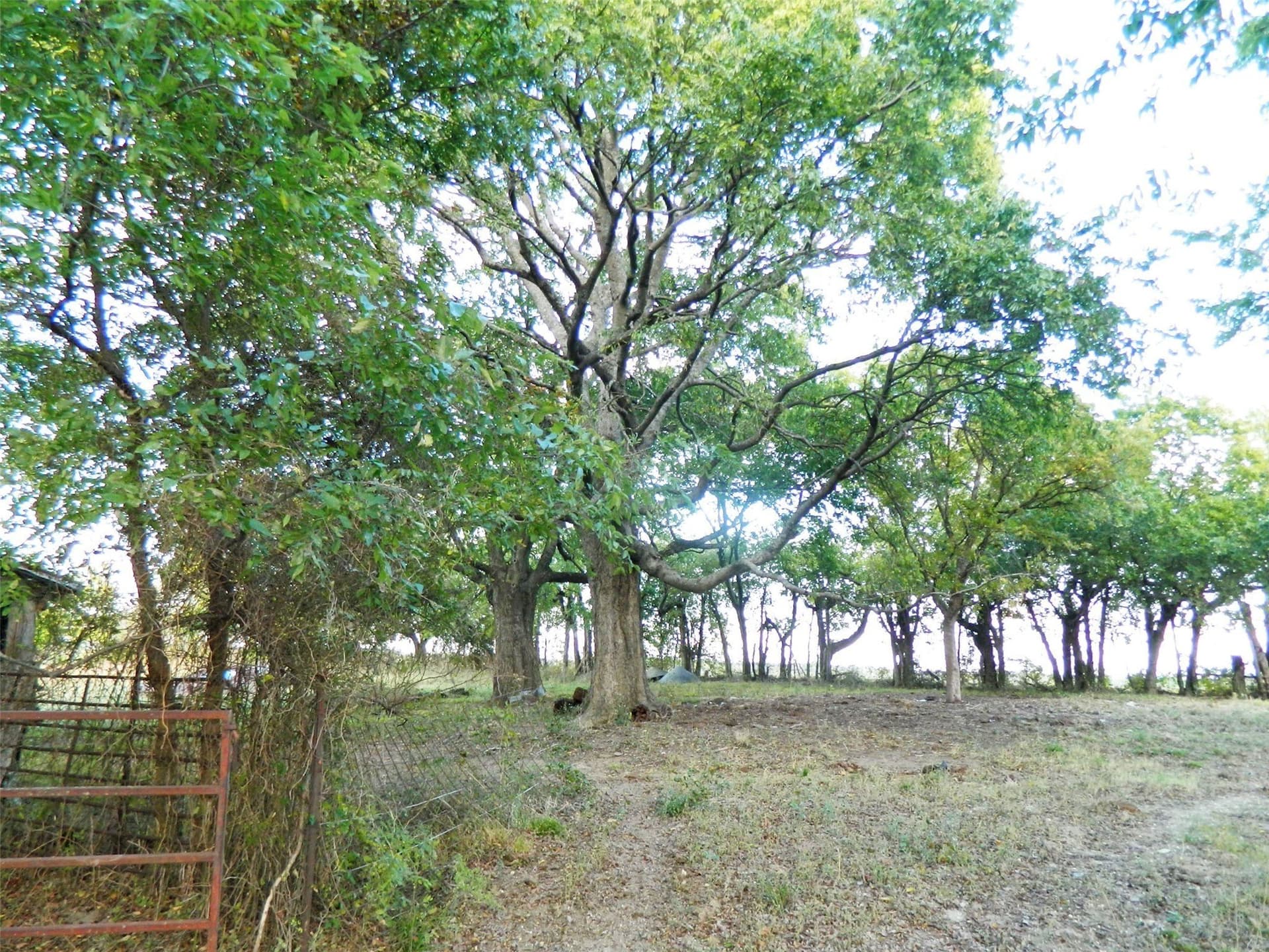 32.14 acres in Fannin County - photo 6