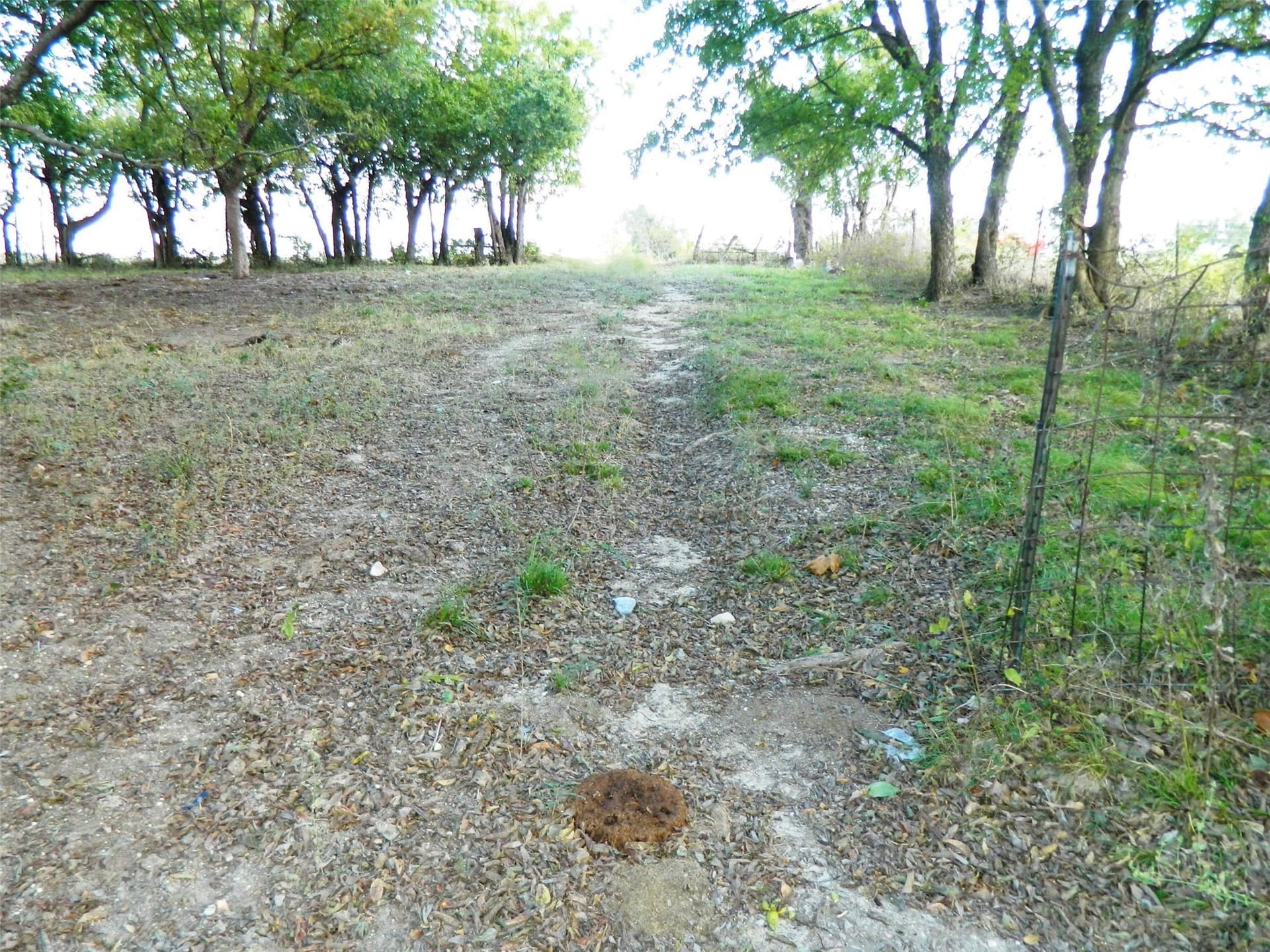 32.14 acres in Fannin County - photo 7