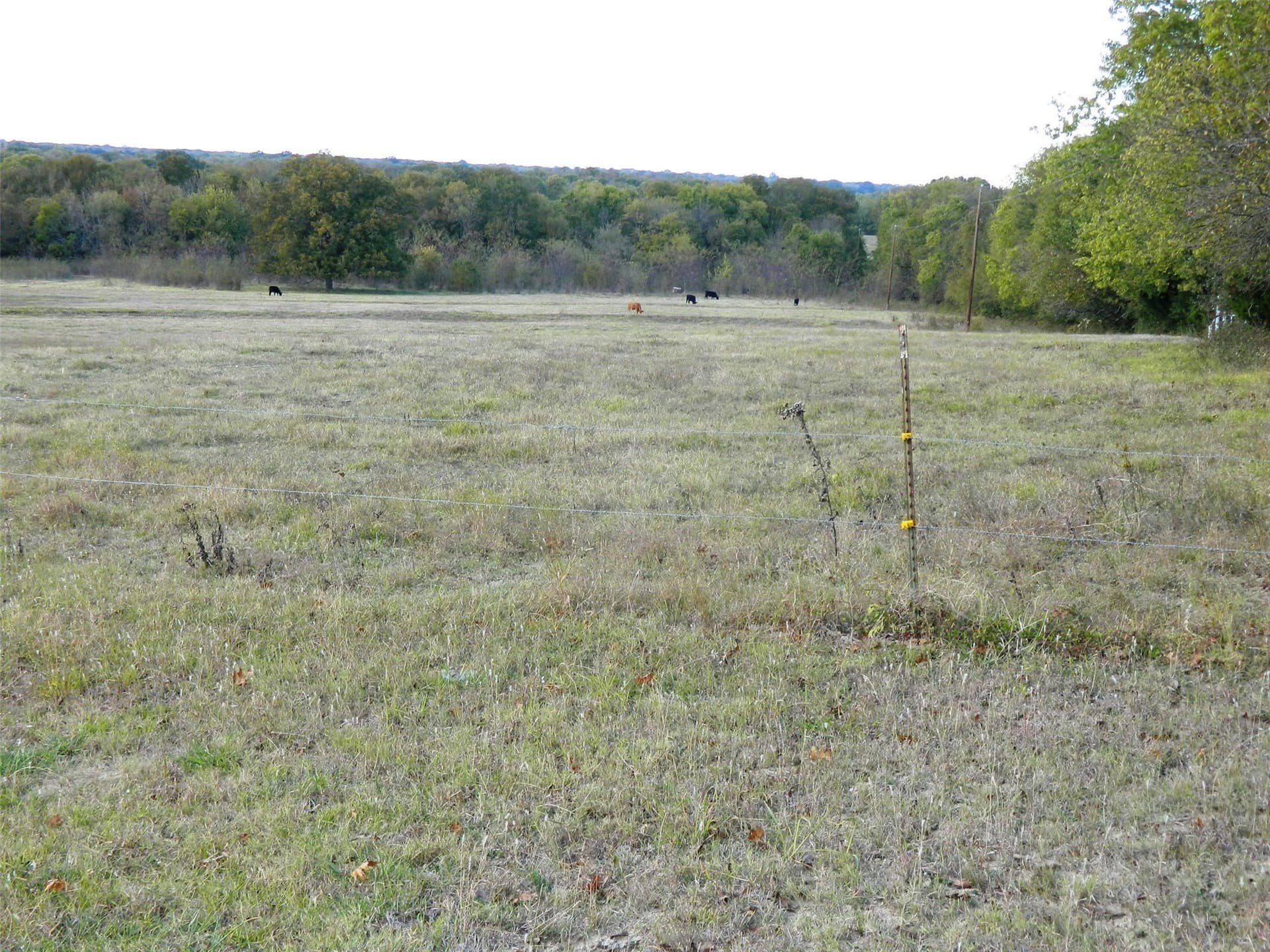 32.14 acres in Fannin County - photo 8