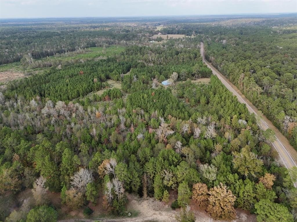 6.64 acres in Polk County gallery image 3