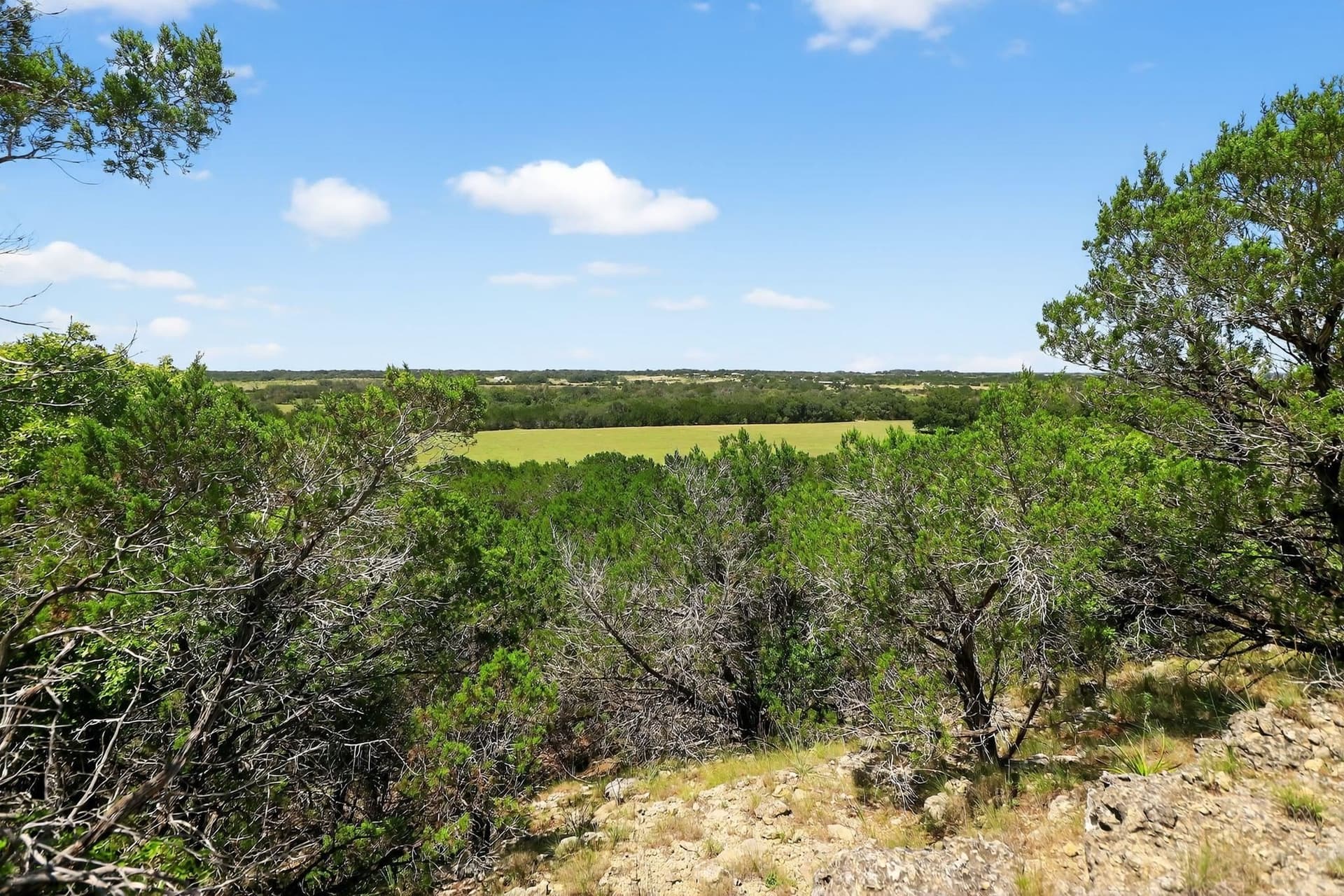 306 acres in Burnet County gallery image 4