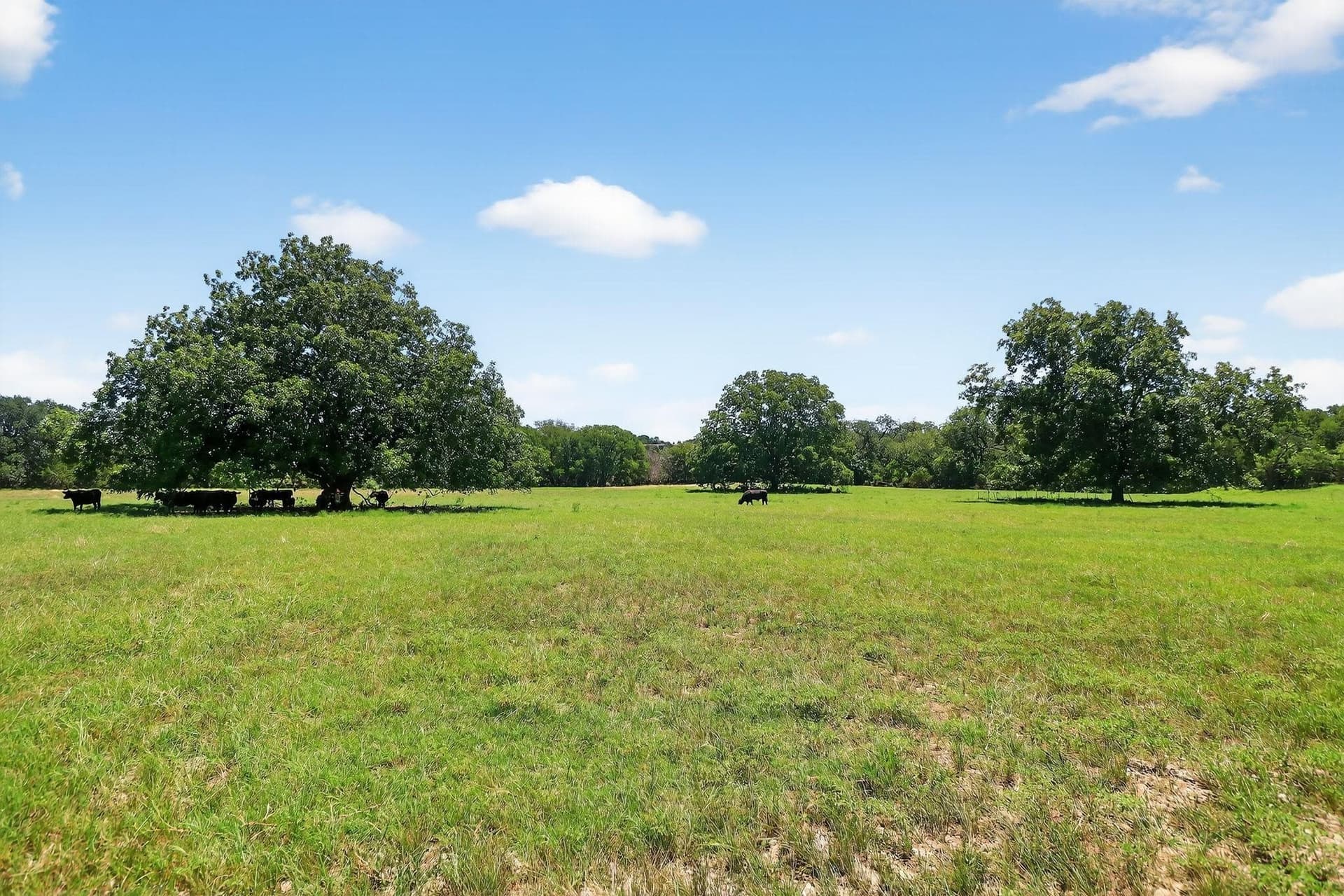 306 acres in Burnet County gallery image 3