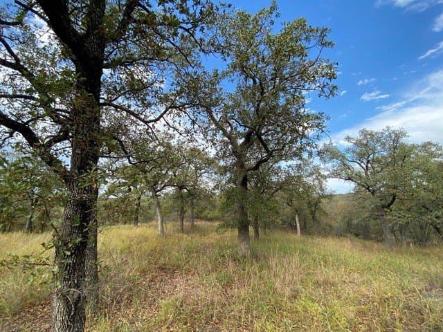 3.77 acres in Wise County - photo 8