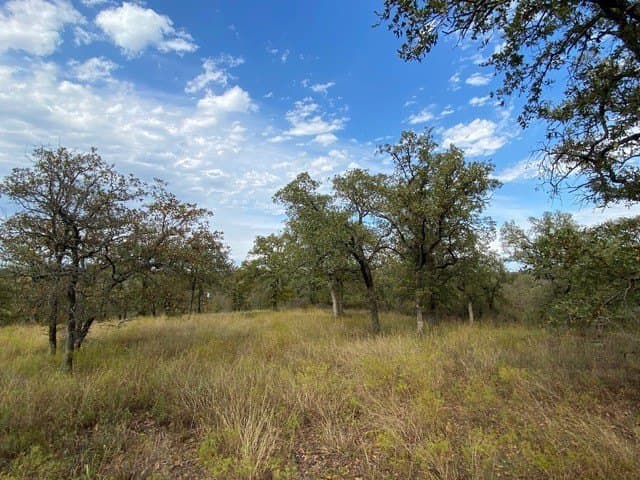 3.77 acres in Wise County - photo 6