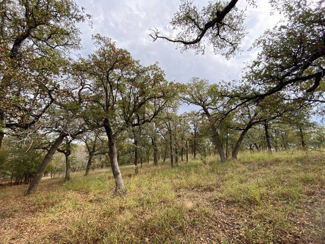 3.77 acres in Wise County - photo 9