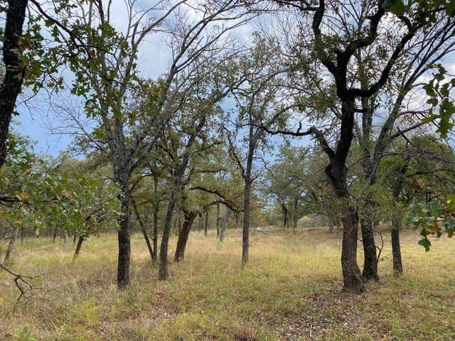 3.77 acres in Wise County - photo 14