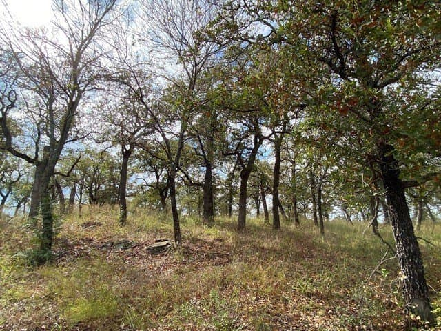 3.77 acres in Wise County - photo 15