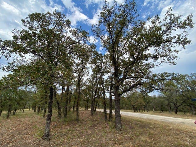 3.77 acres in Wise County - photo 12