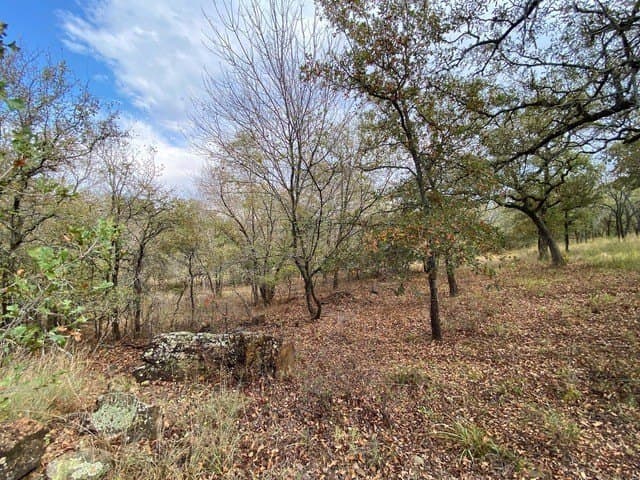 3.77 acres in Wise County - photo 10