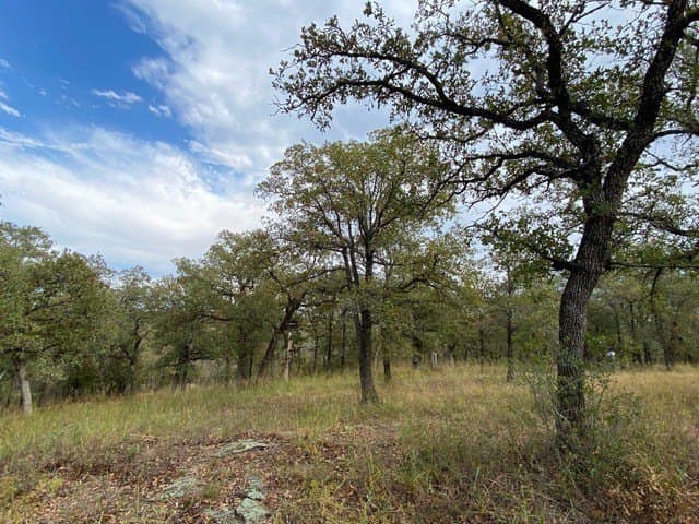 3.77 acres in Wise County - photo 7