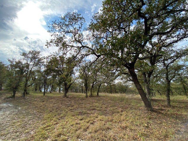 3.77 acres in Wise County - photo 5