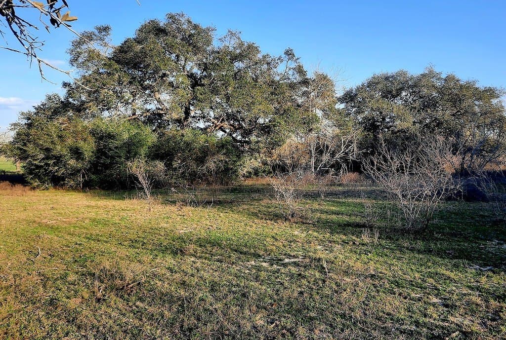 21.05 acres in Lavaca County