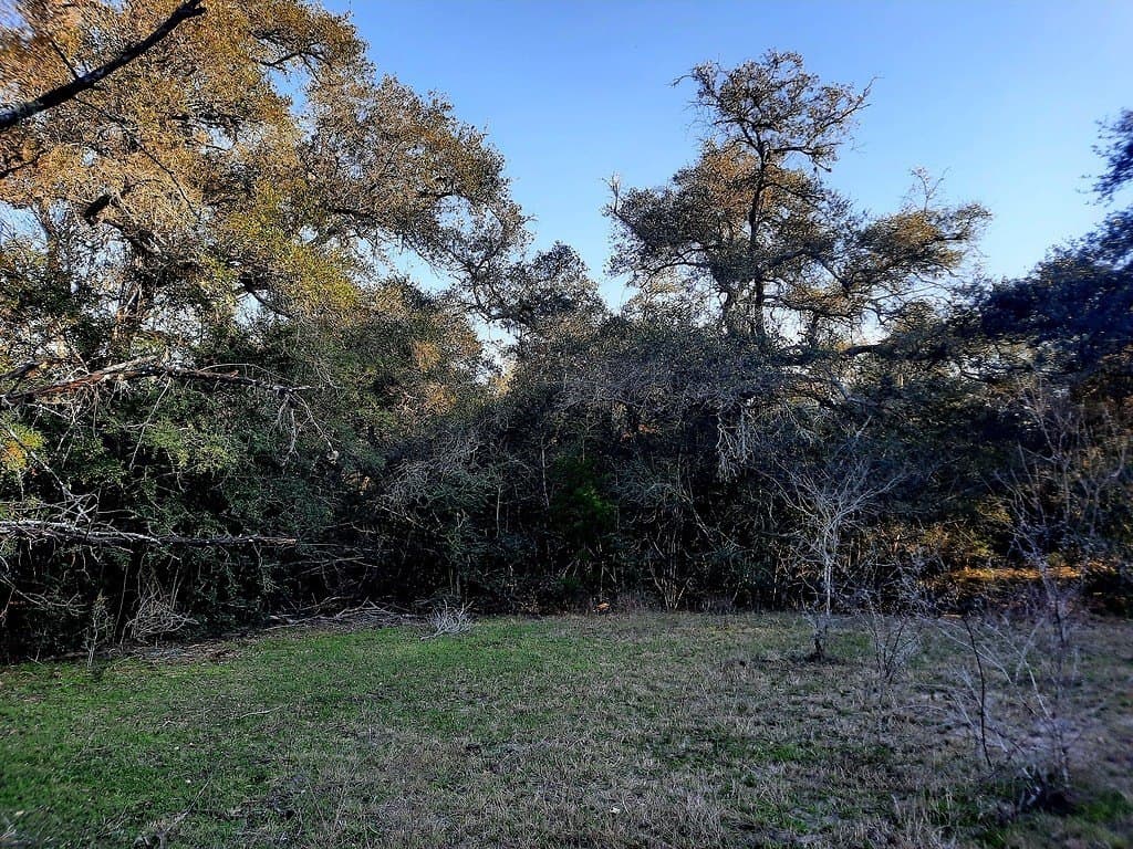 21.05 acres in Lavaca County featured view