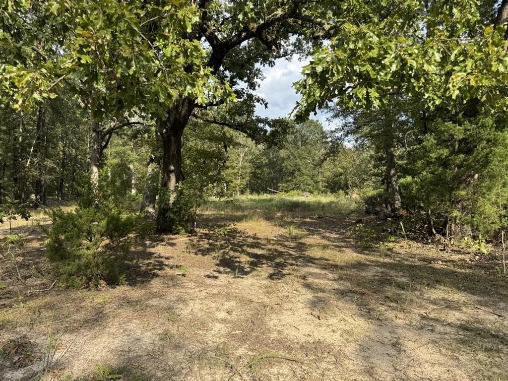 15.35 acres in Lamar County