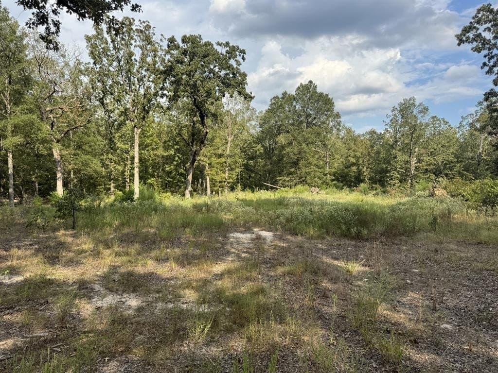 15.35 acres in Lamar County gallery image 3