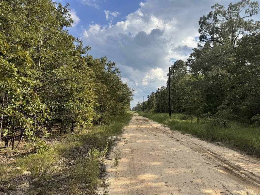 15.35 acres in Lamar County gallery image 2