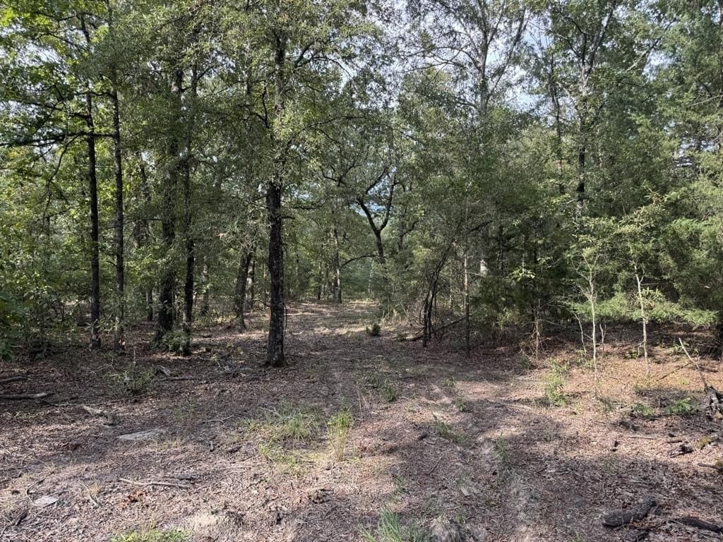 15.35 acres in Lamar County featured view