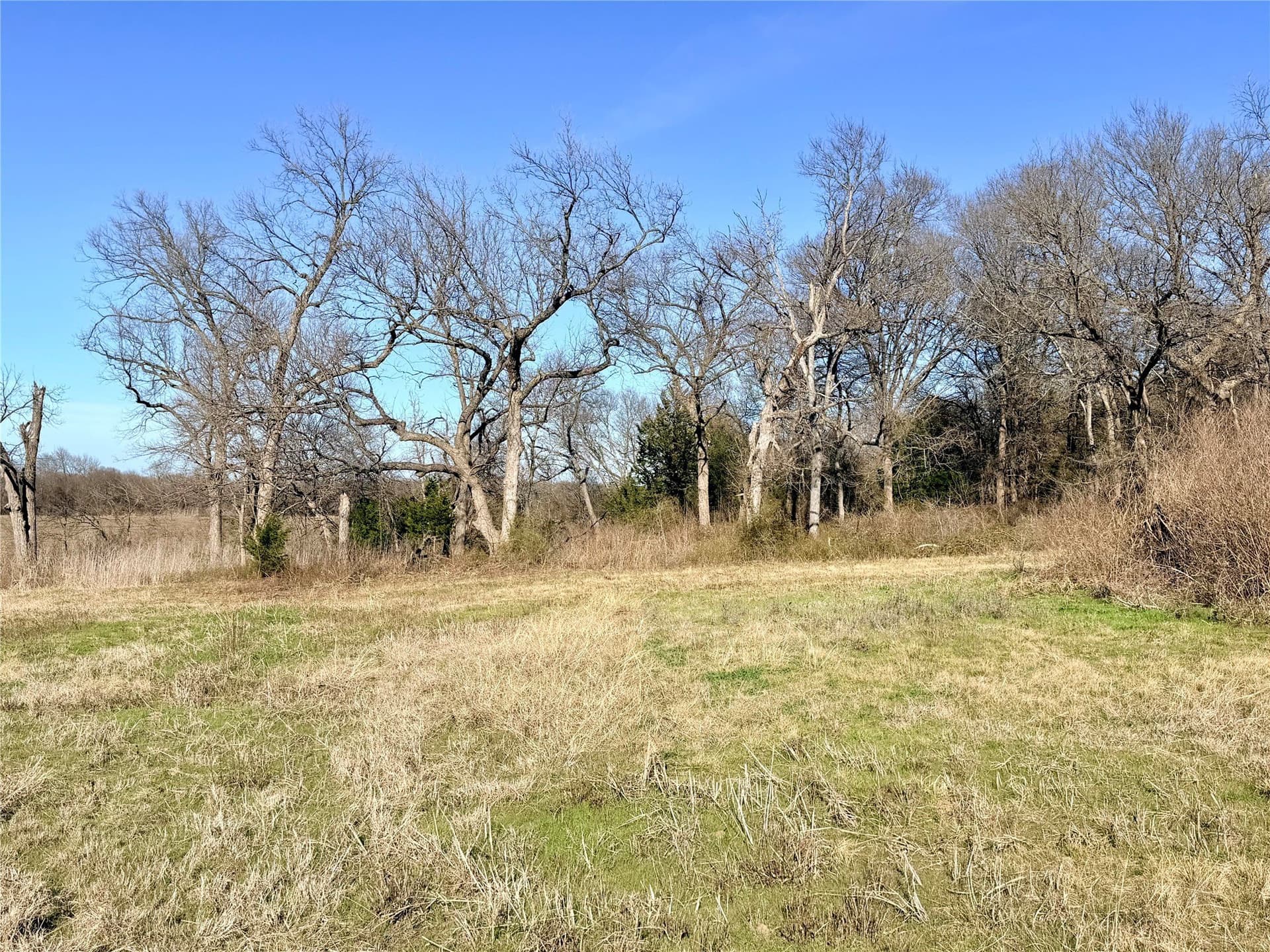117.25 acres in Ellis County - photo 14