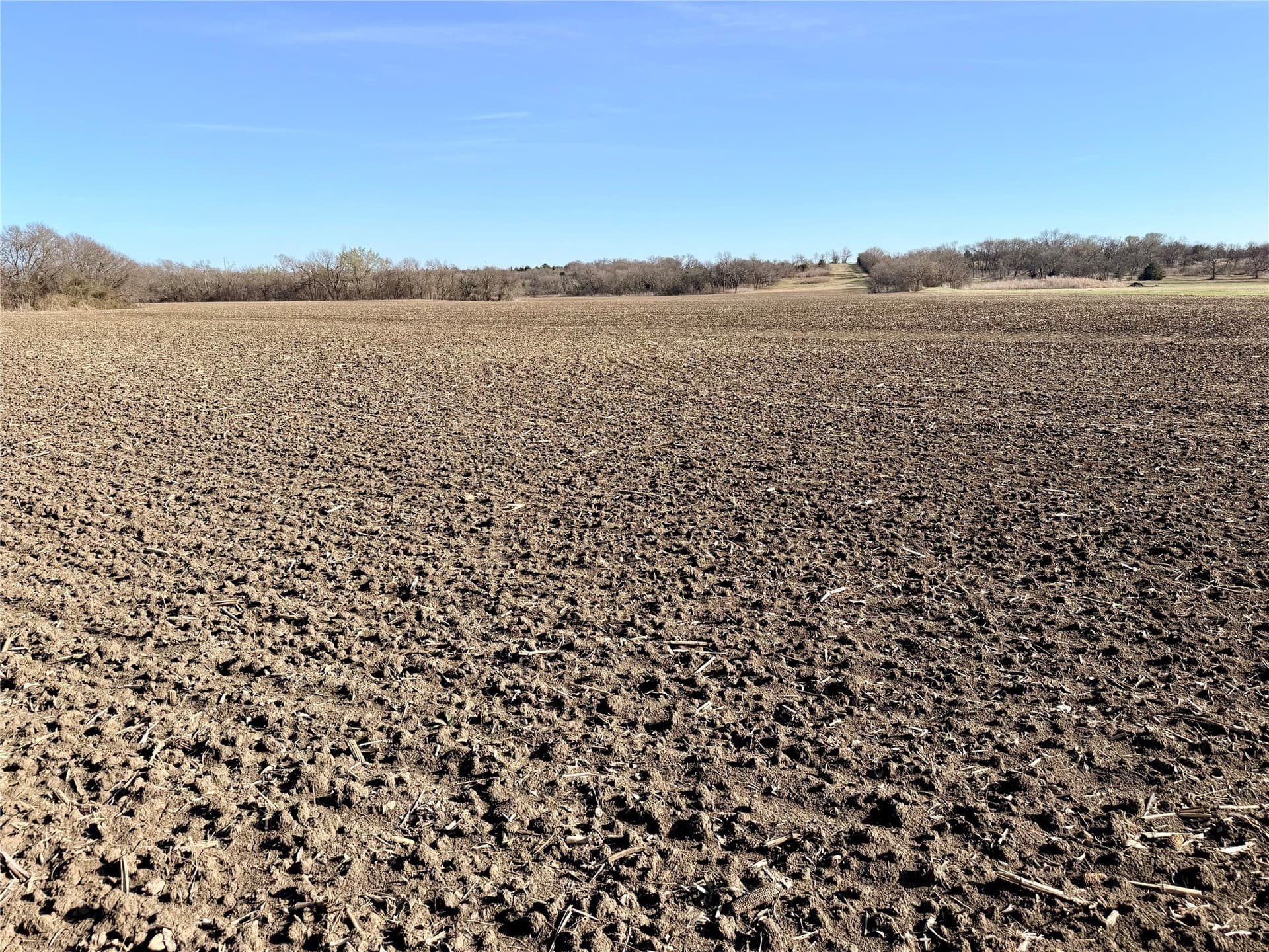 117.25 acres in Ellis County - photo 9