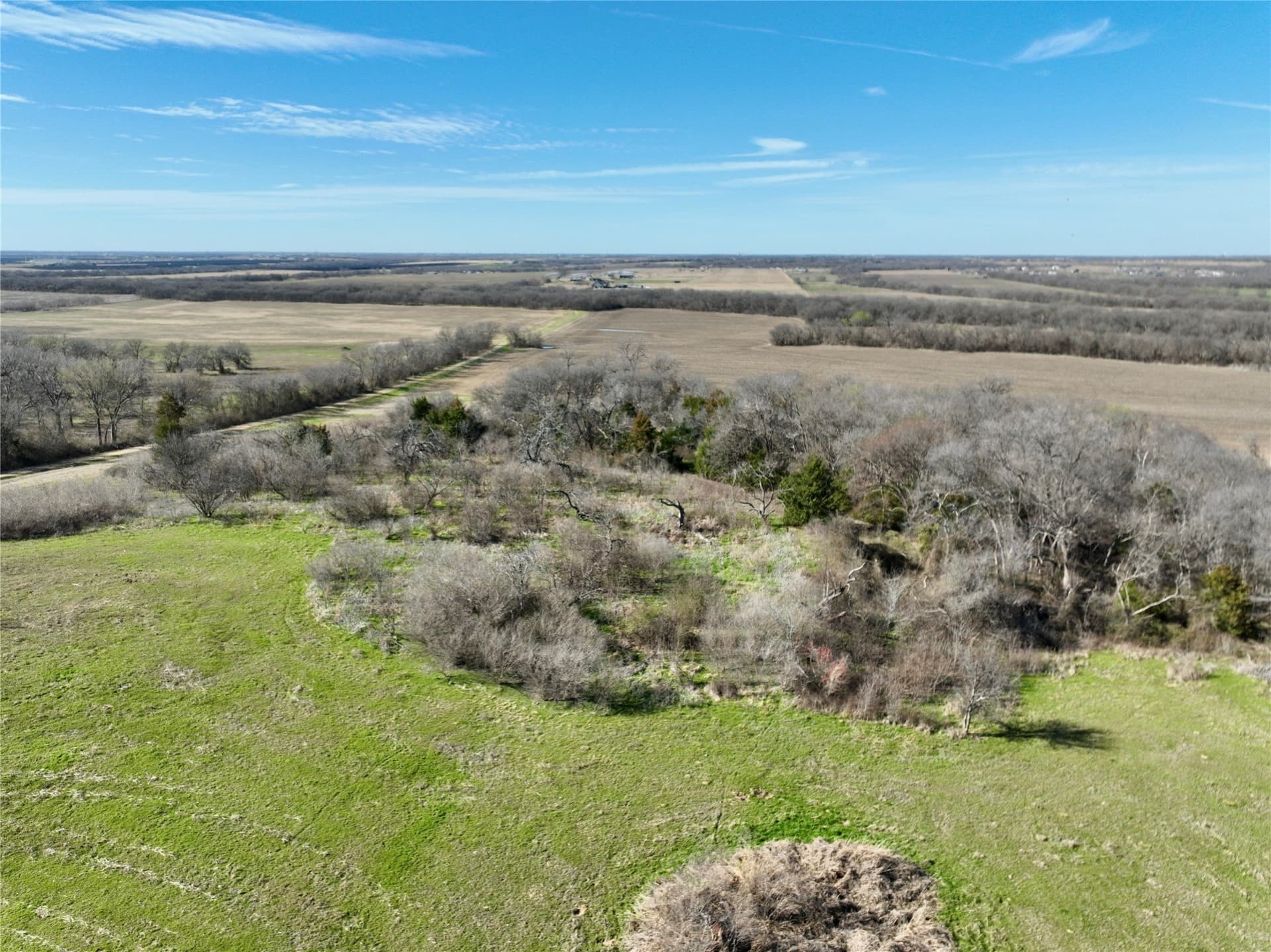 117.25 acres in Ellis County - photo 10