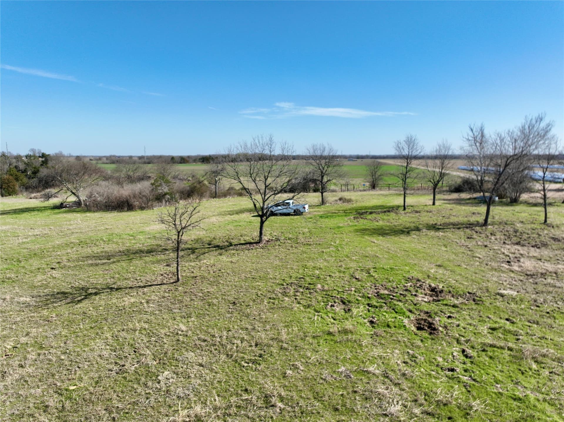 117.25 acres in Ellis County gallery image 4
