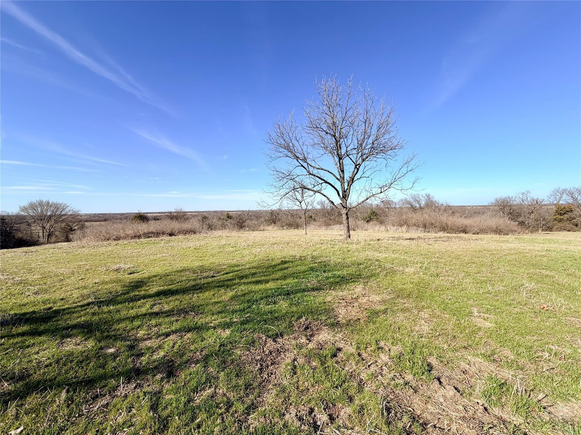117.25 acres in Ellis County - photo 6