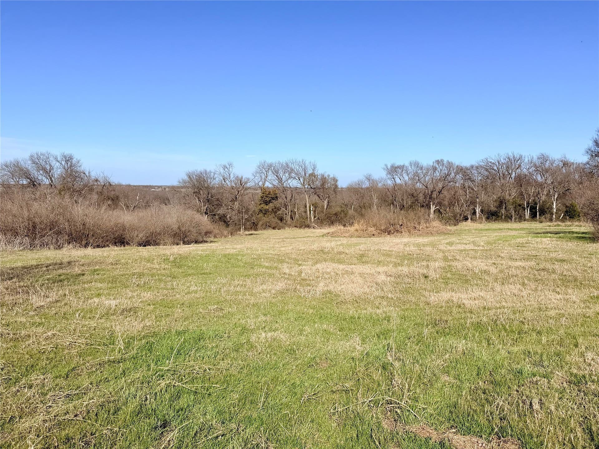 117.25 acres in Ellis County - photo 15