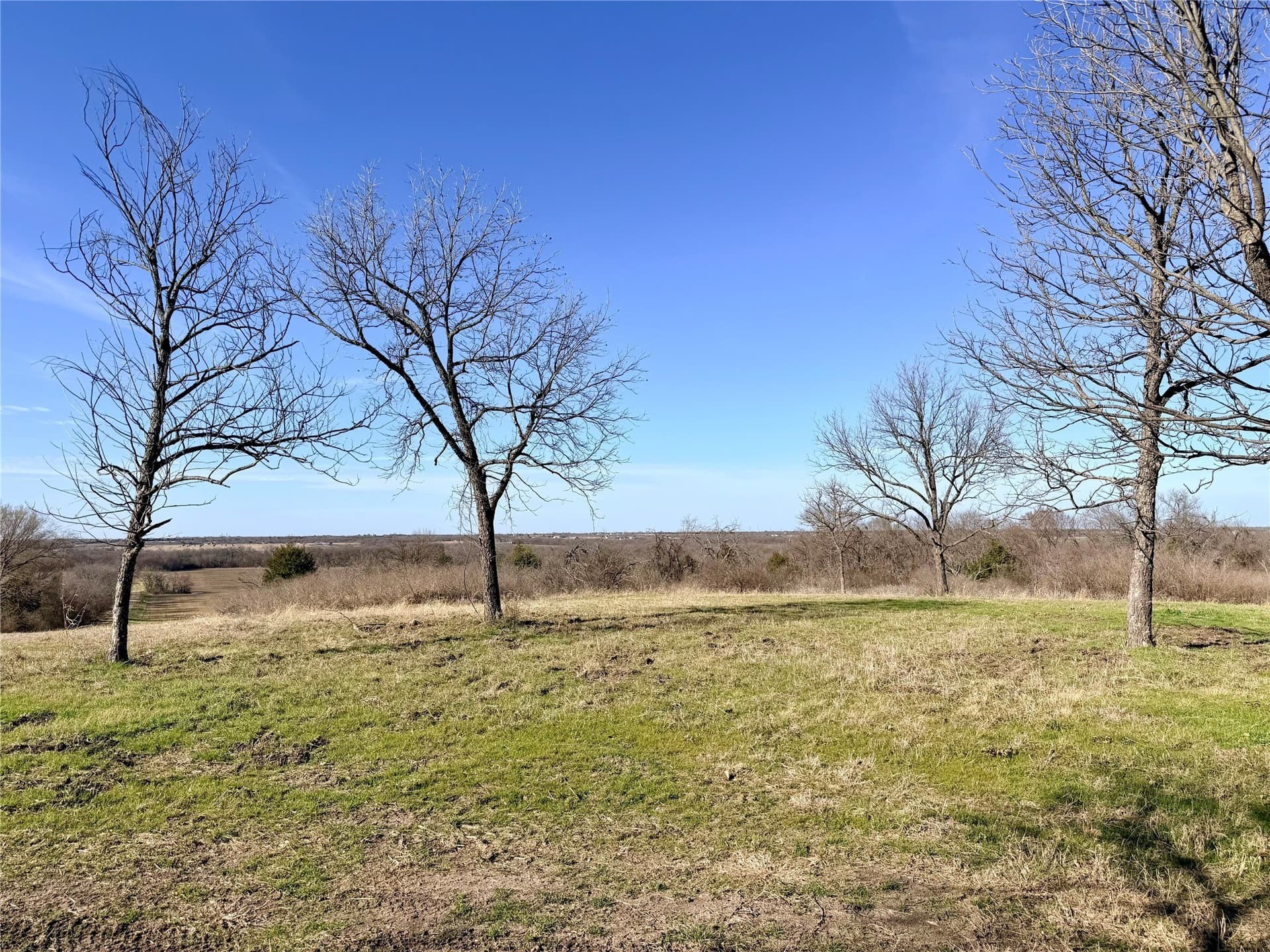 117.25 acres in Ellis County featured view