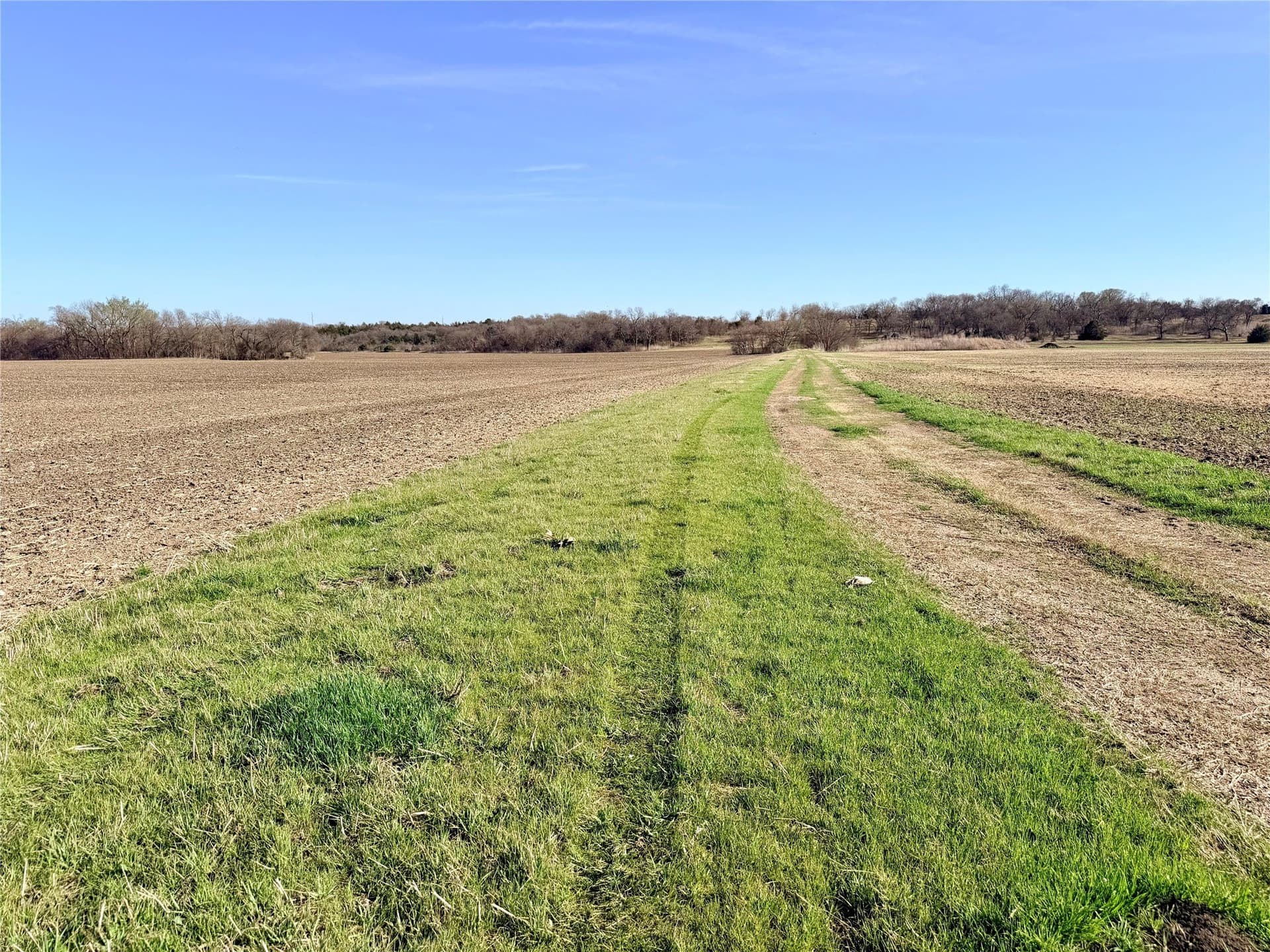 117.25 acres in Ellis County - photo 8