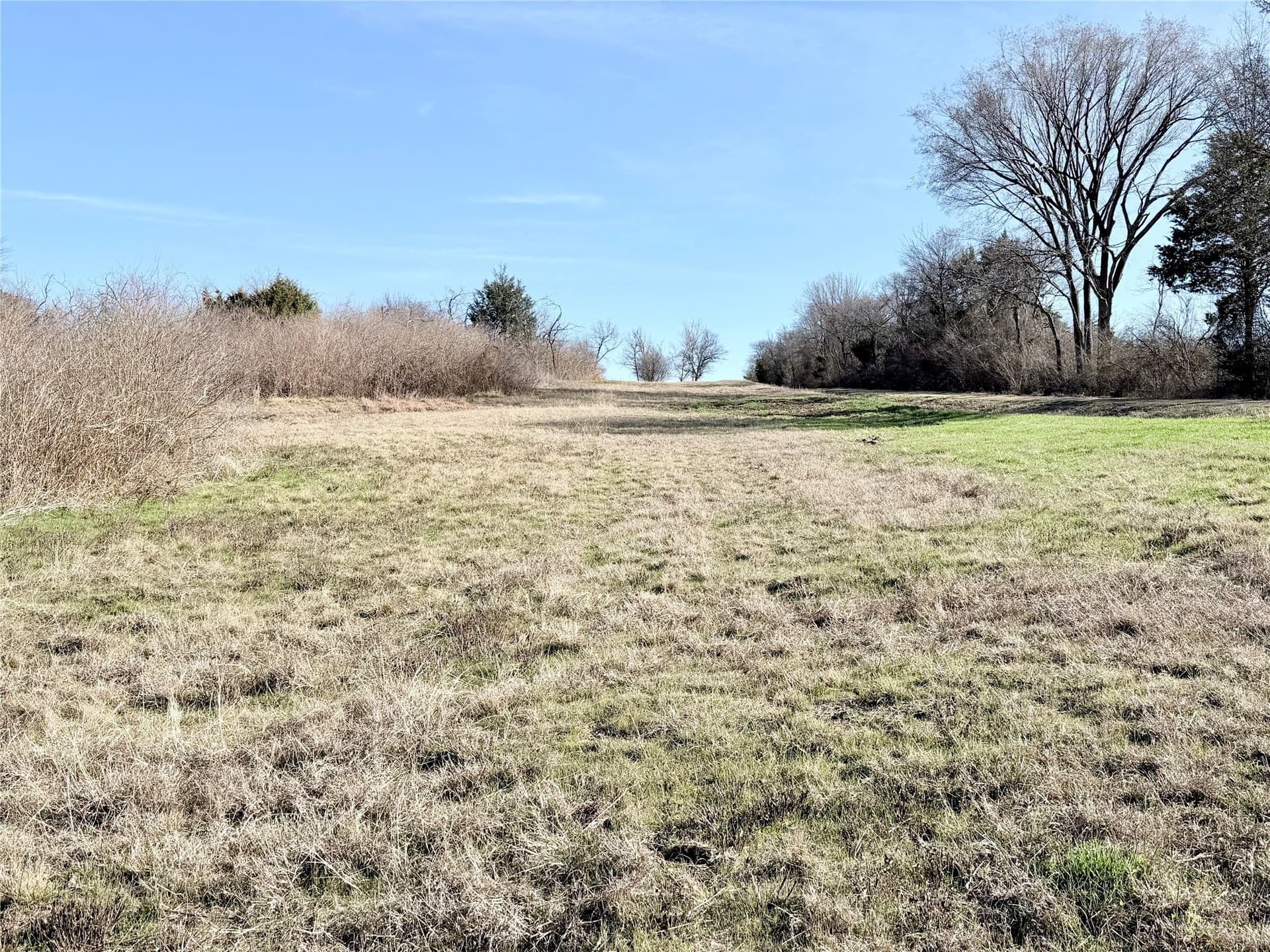 117.25 acres in Ellis County - photo 7