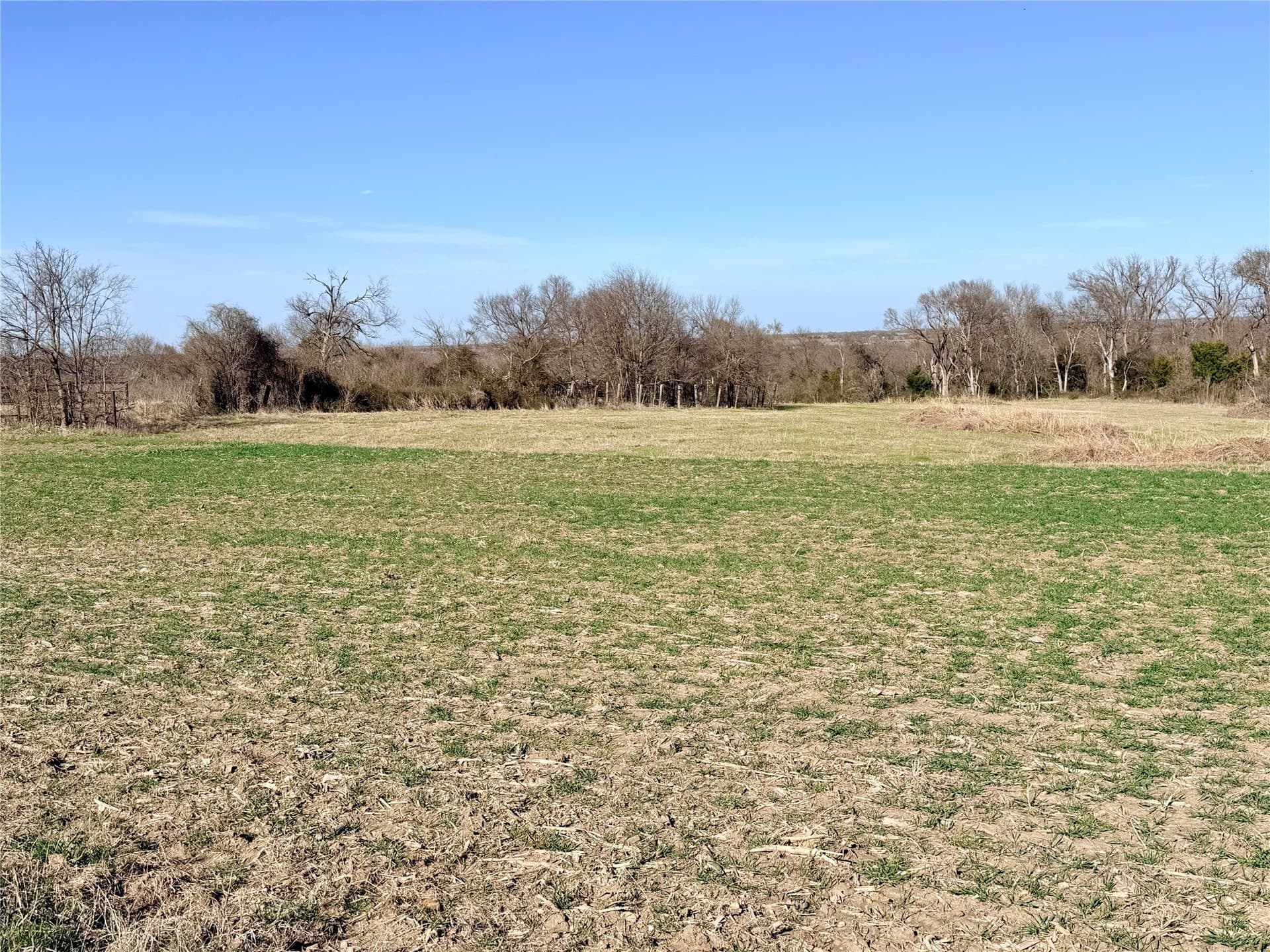 117.25 acres in Ellis County - photo 13