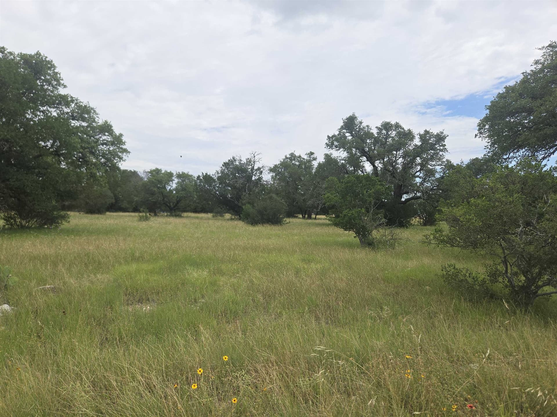 0.23 acres in Llano County - photo 10