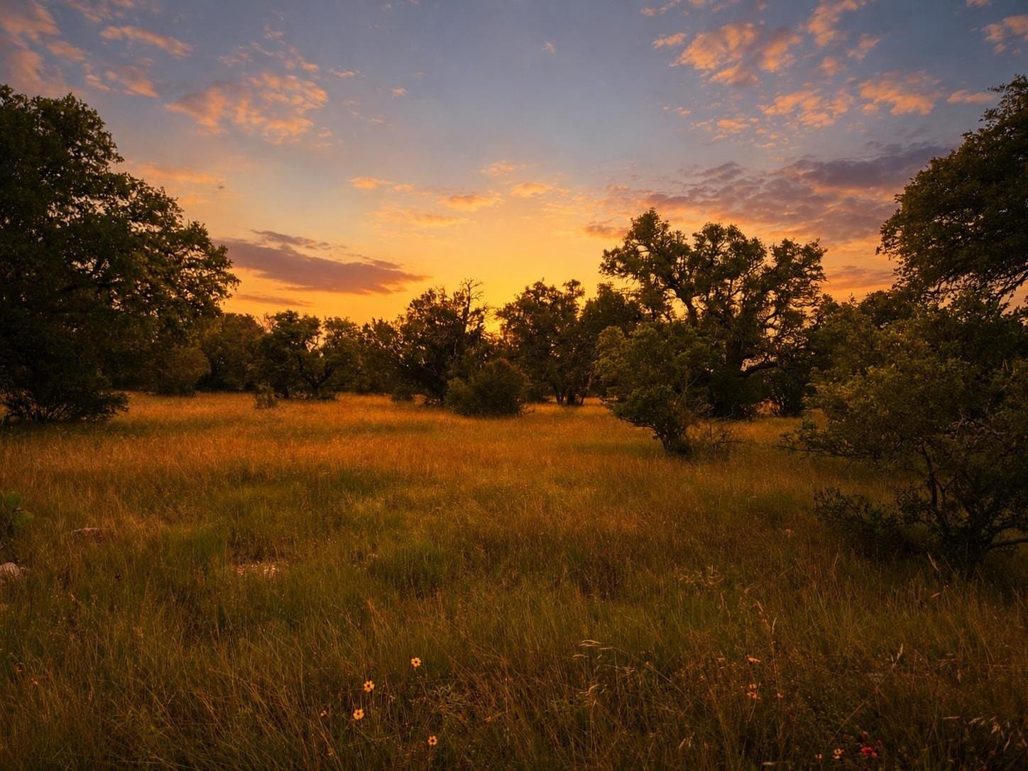 0.23 acres in Llano County - photo 6