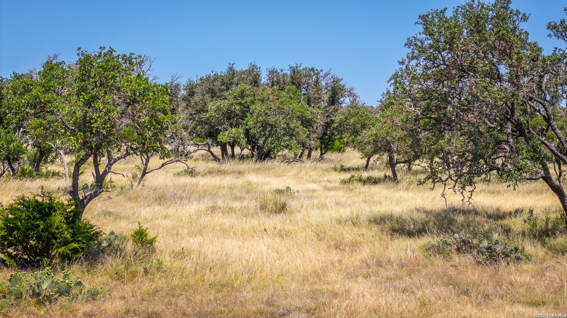 12 acres in Kerr County - photo 8