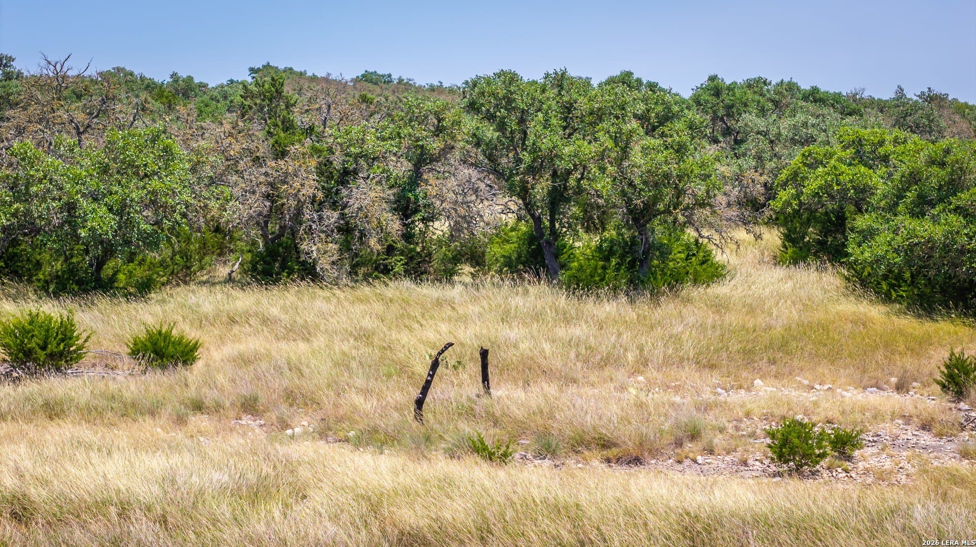 12 acres in Kerr County - photo 19