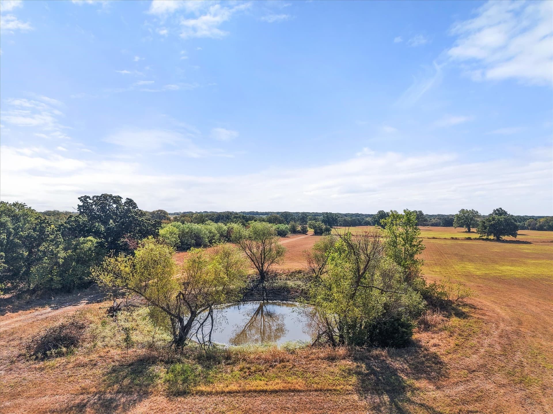 20 acres in Navarro County - photo 37