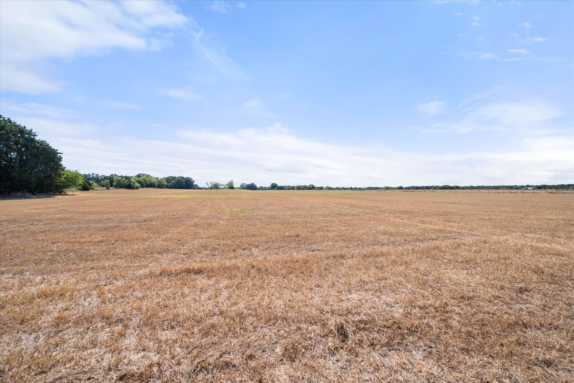 20 acres in Navarro County - photo 30